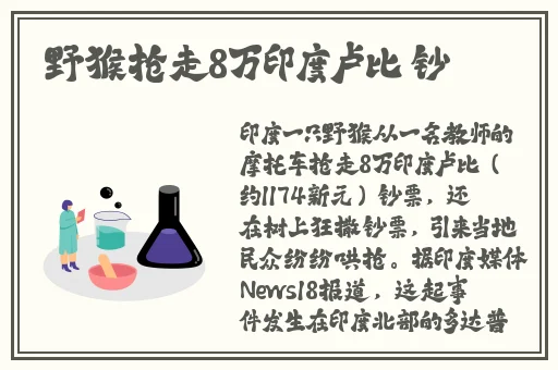 朝阳群众与51吃瓜群众比较